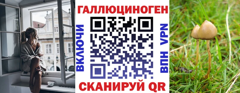 где купить наркоту  Коммунар  Псилоцибиновые грибы мицелий 